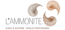 L'Ammonite
