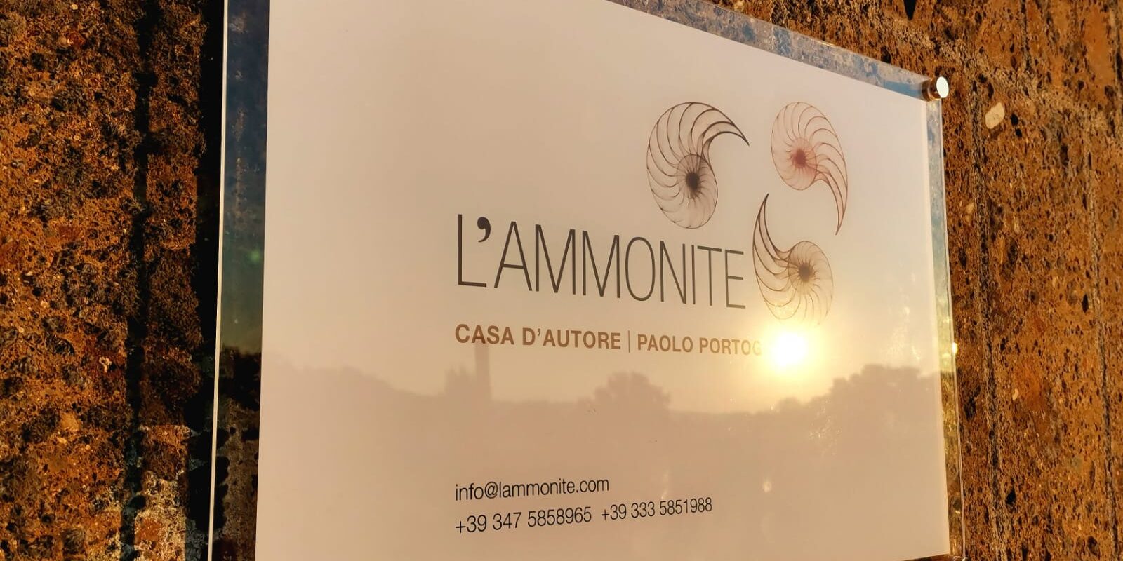 lammonite